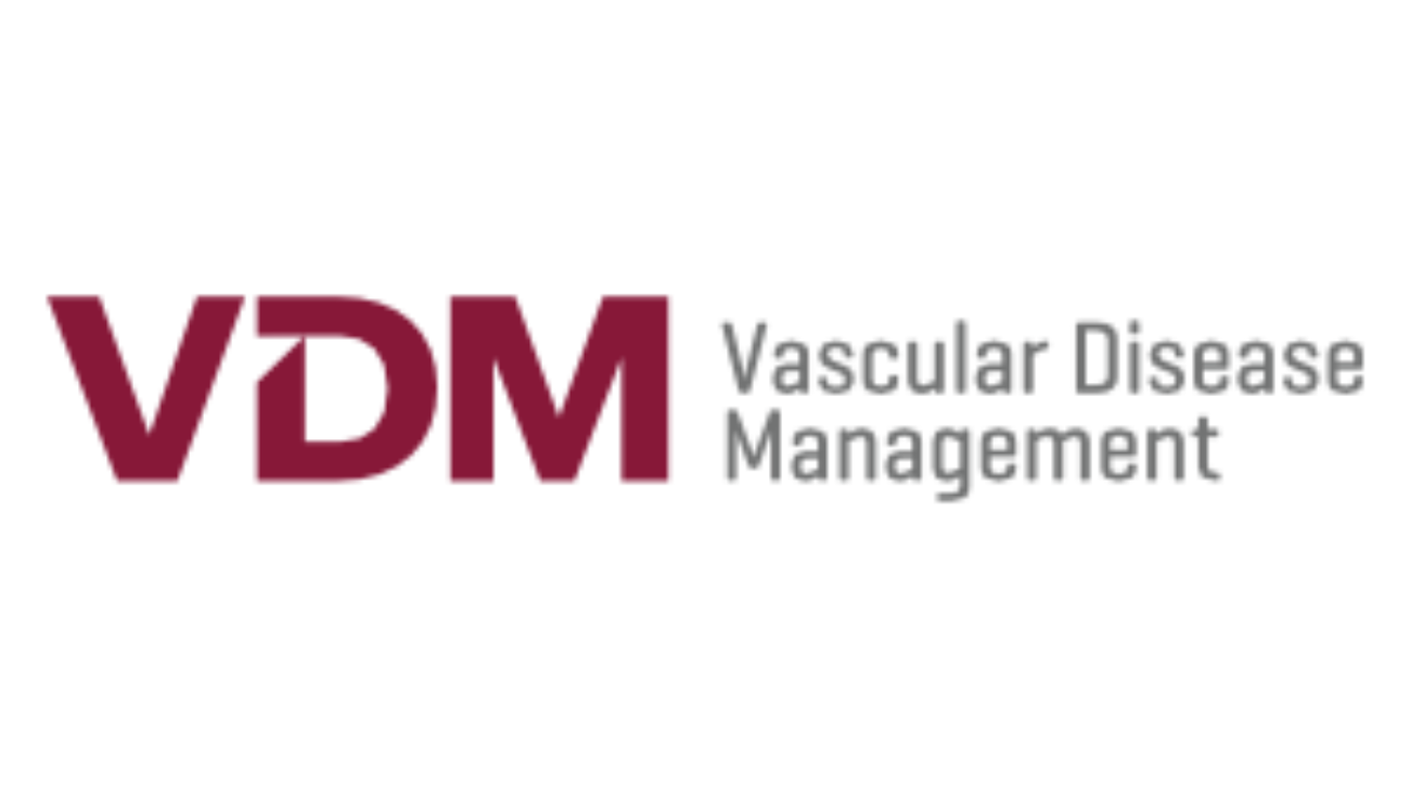 2018_VDM_logo